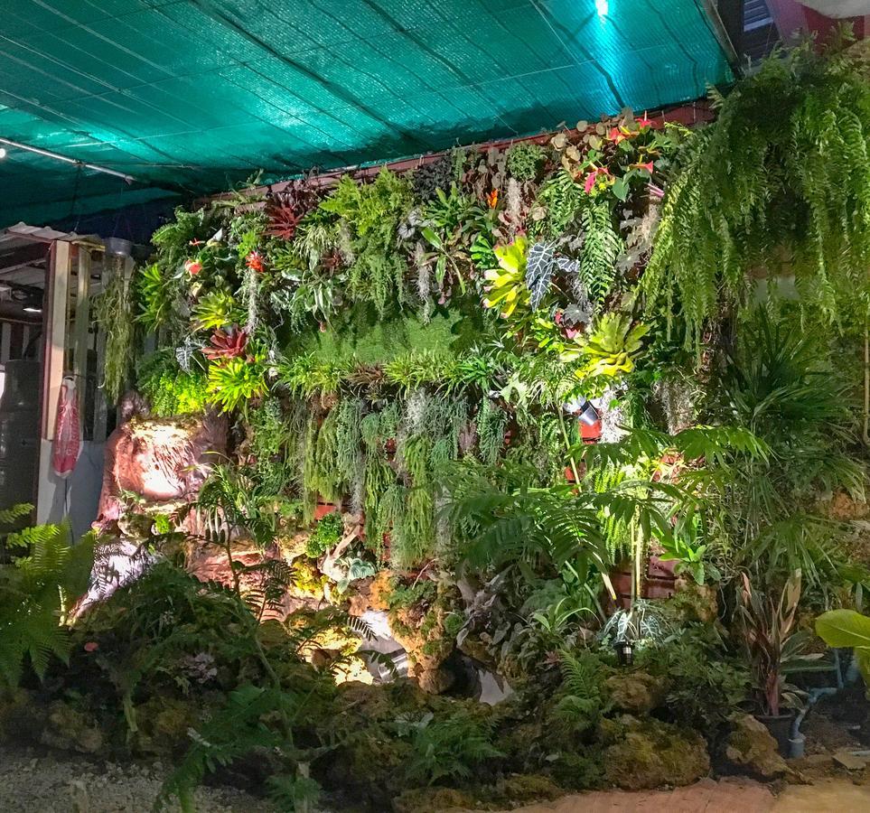 Bann Ton Kho Hotel Khao Kho Exterior photo